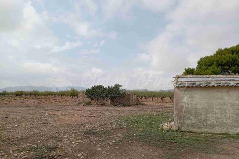 Ruinere i Yecla, Murcia, Yecla - € 39.000 | Ref: SF0517 - foto 34